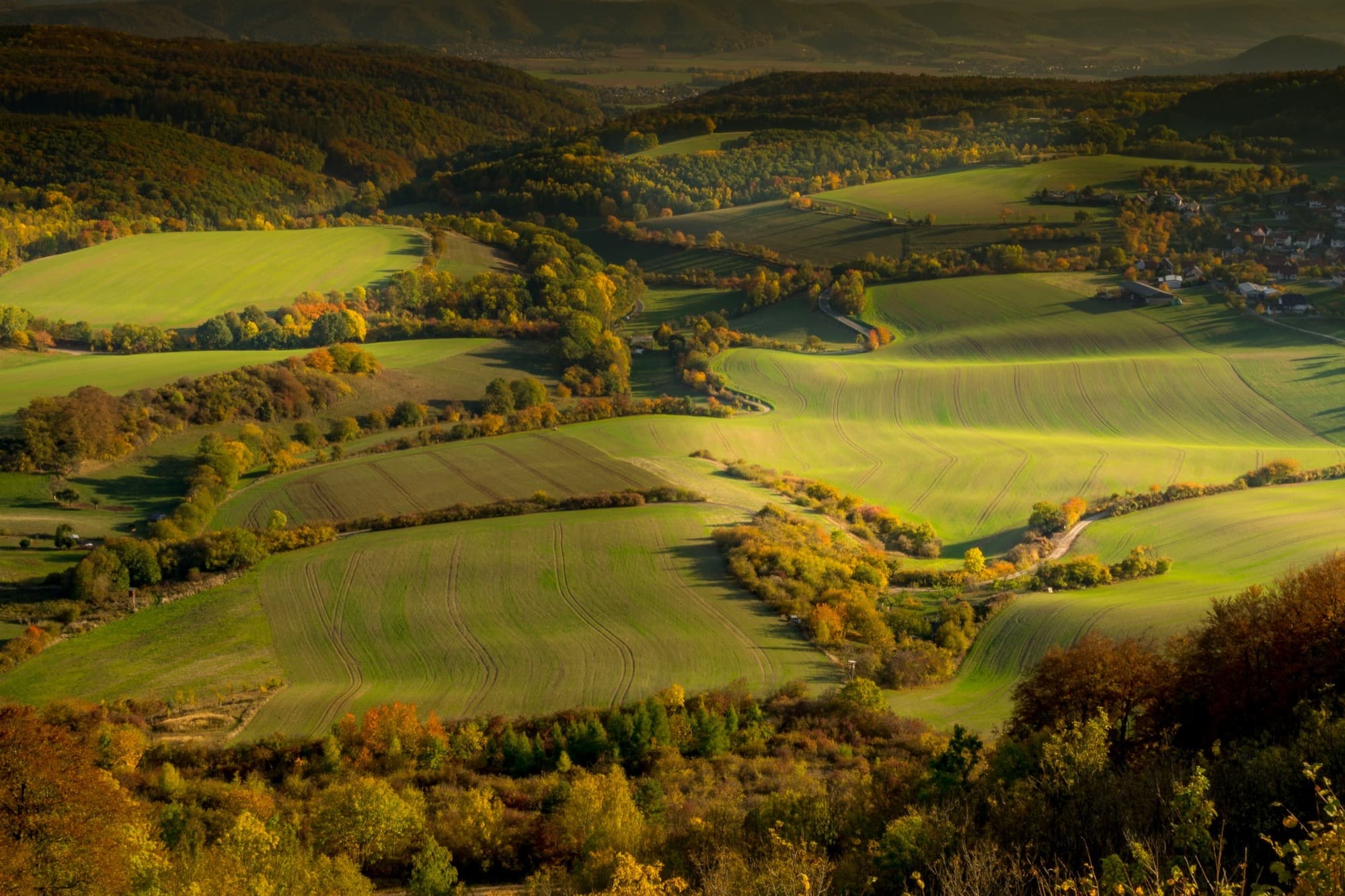 Hügelige Landschaft mit Feldern und Waldrändern im Herbstlicht