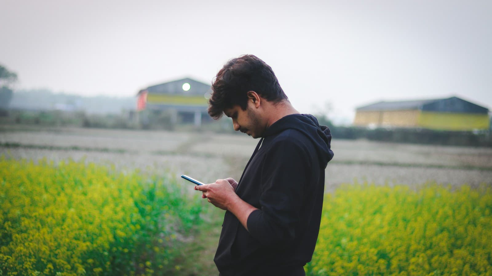 Mann steht am Rapsfeld und schaut auf sein Handy