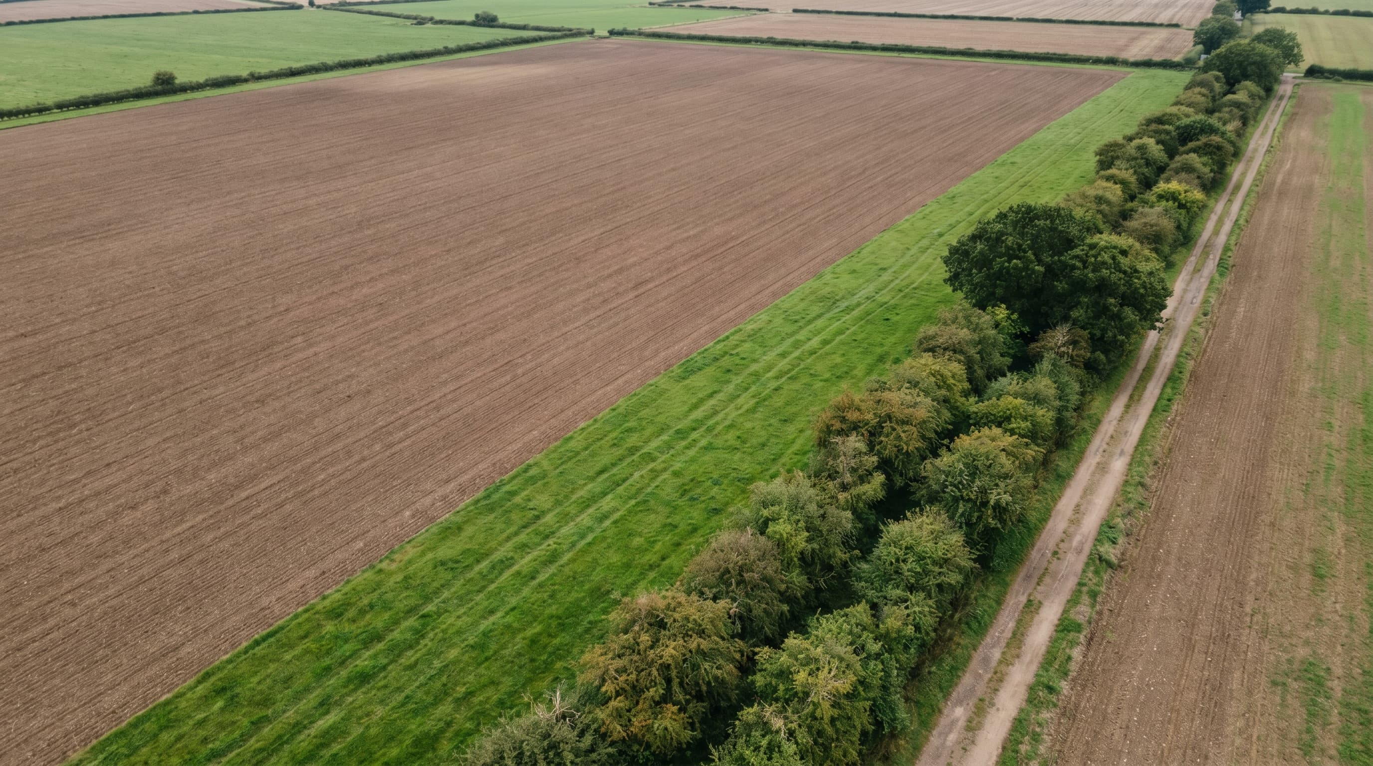 Ackerfläche mit Grünstreifen und Hecke am Feldrand von oben